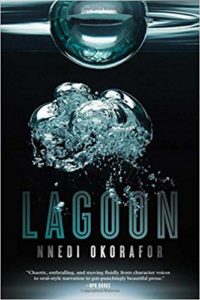 Lagoon cover